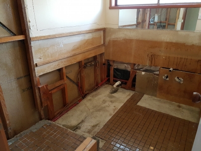 Asbestos walls and shower walls removed - Completed job